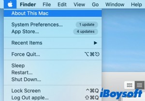 मैक स्टोरेज में अन्य क्या है और इसे कैसे डिलीट करें (2022)