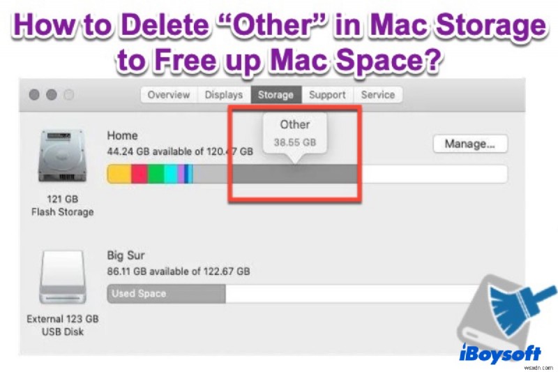 मैक स्टोरेज स्पेस खाली करने के लिए मैक पर आईओएस फाइल कैसे डिलीट करें?