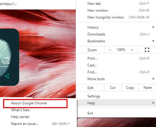 Windows 10 में Chrome नॉट सेविंग पासवर्ड्स को ठीक करें