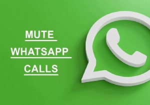 Android पर Whatsapp कॉल को कैसे म्यूट करें?