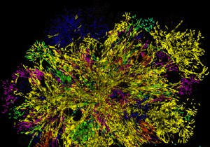 इंटरनेट का एक संक्षिप्त इतिहास - इसका आविष्कार किसने किया, यह कैसे काम करता है, और यह कैसे वेब बन गया जिसका हम आज उपयोग करते हैं 