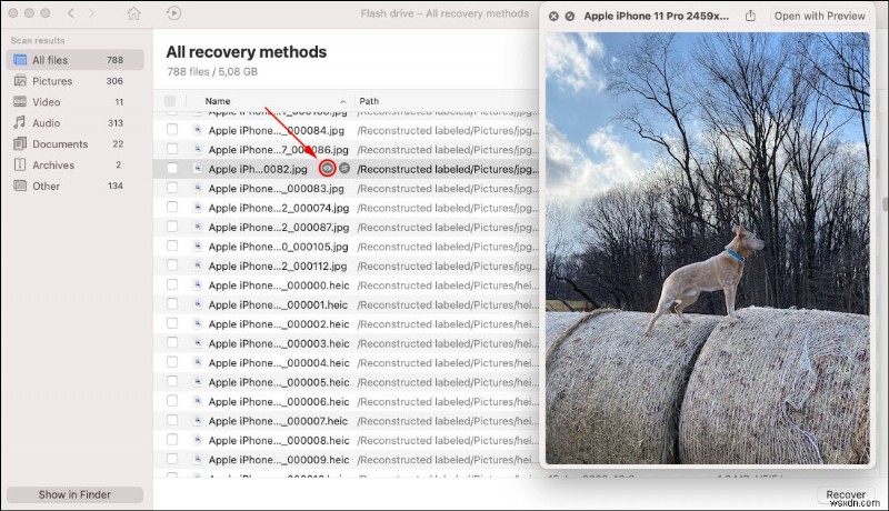 रॉ बाहरी हार्ड ड्राइव से फ़ाइलें कैसे पुनर्प्राप्त करें