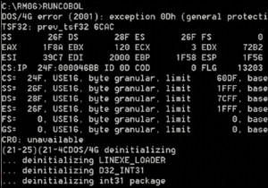 FIX:DOS/4G त्रुटि 2001 अपवाद 0Dh विंडोज 10 पर (समाधान)