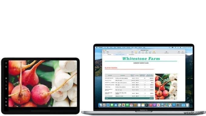 M1 MacBook बनाम iPad Pro:पहले से कहीं अधिक कठिन विकल्प