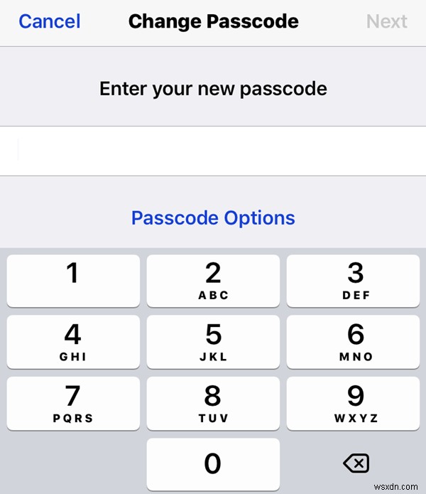 अपने iOS पासकोड को लंबा कैसे बनाएं जब पुलिस आपका फोन जब्त कर ले