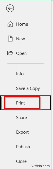 एक्सेल को प्रिंट करने के लिए कैसे फॉर्मेट करें (13 आसान टिप्स)