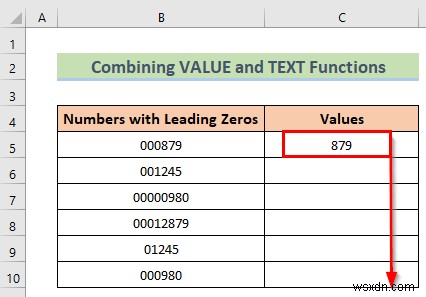 Excel में अग्रणी शून्य कैसे निकालें (8 आसान तरीके)