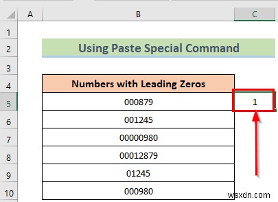 Excel में अग्रणी शून्य कैसे निकालें (8 आसान तरीके)