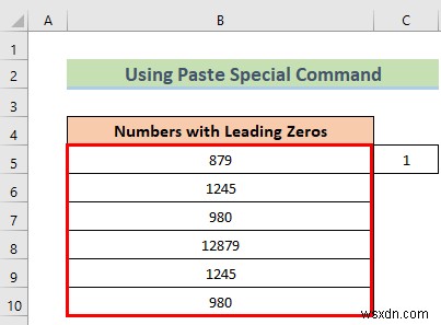 Excel में अग्रणी शून्य कैसे निकालें (8 आसान तरीके)