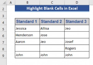 Excel में ब्लैंक सेल्स को हाईलाइट कैसे करें (4 उपयोगी तरीके)