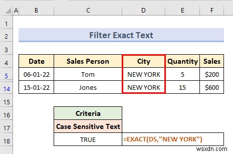 Excel में मानदंड श्रेणी के साथ उन्नत फ़िल्टर (18 अनुप्रयोग)