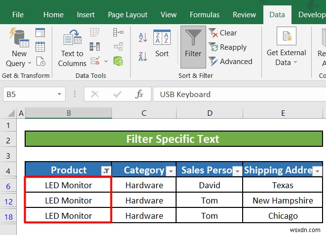 Excel में टेक्स्ट फ़िल्टर का उपयोग कैसे करें (5 उदाहरण)