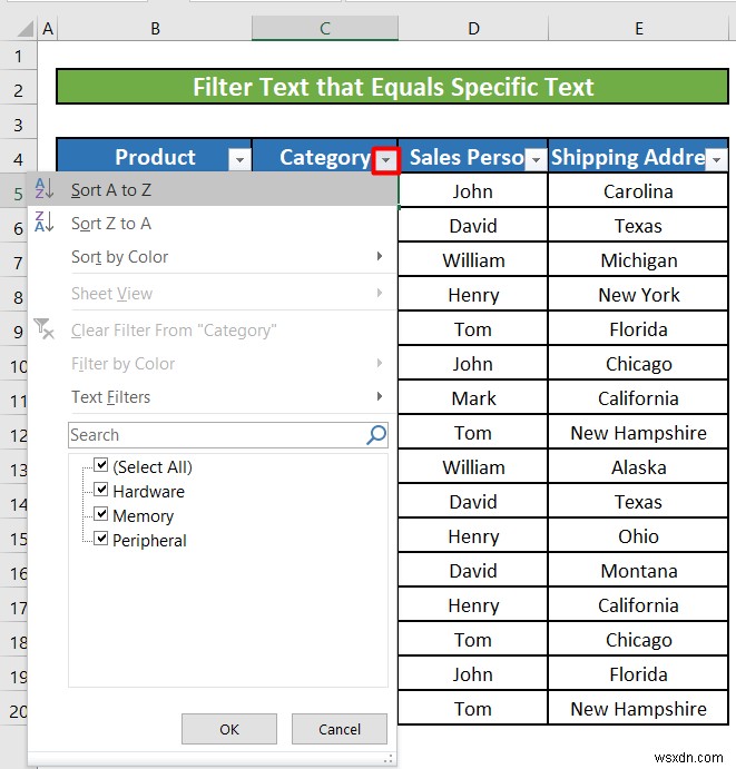 Excel में टेक्स्ट फ़िल्टर का उपयोग कैसे करें (5 उदाहरण)