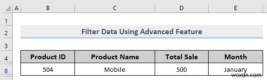 Excel में कस्टम फ़िल्टर कैसे करें (5 तरीके)