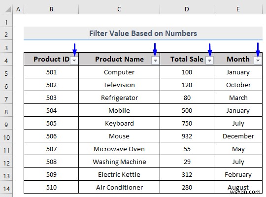 Excel में कस्टम फ़िल्टर कैसे करें (5 तरीके)