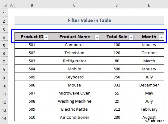 Excel में कस्टम फ़िल्टर कैसे करें (5 तरीके)