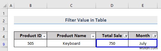 Excel में कस्टम फ़िल्टर कैसे करें (5 तरीके)