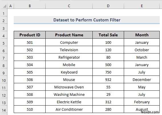 Excel में कस्टम फ़िल्टर कैसे करें (5 तरीके)