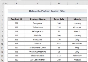 Excel में कस्टम फ़िल्टर कैसे करें (5 तरीके)