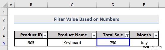 Excel में कस्टम फ़िल्टर कैसे करें (5 तरीके)