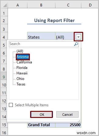 Excel Pivot Table को कैसे फ़िल्टर करें (8 प्रभावी तरीके)