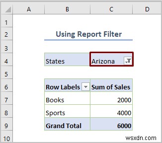 Excel Pivot Table को कैसे फ़िल्टर करें (8 प्रभावी तरीके)