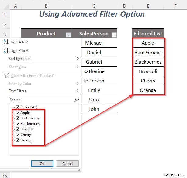 Excel में फ़िल्टर ड्रॉप-डाउन सूची की प्रतिलिपि कैसे करें (5 तरीके)