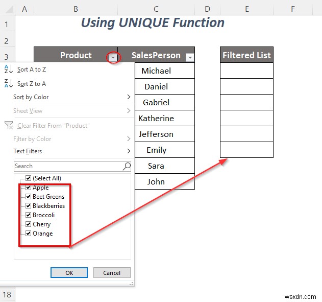 Excel में फ़िल्टर ड्रॉप-डाउन सूची की प्रतिलिपि कैसे करें (5 तरीके)