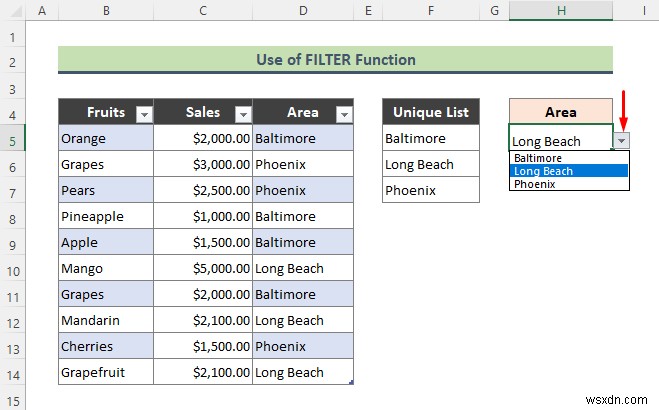 Excel Data Validation Drop Down List with Filter (2 उदाहरण)