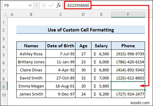 Excel में गोपनीय डेटा कैसे छिपाएं (5 आसान तरीके)
