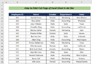 A4 साइज में एक्सेल शीट का पूरा पेज कैसे प्रिंट करें (5 आसान तरीके)