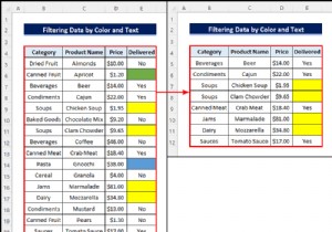 Excel Filter by Color and Text (आसान चरणों के साथ)