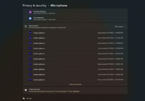 डेव चैनल विंडोज इनसाइडर सेटिंग ऐप में एक गोपनीयता ऑडिट टूल का परीक्षण कर सकते हैं