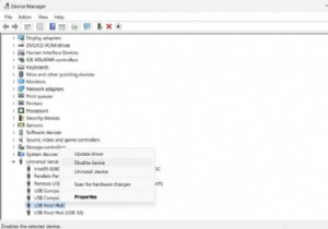 Windows 10 या Windows 11 में USB पोर्ट को अक्षम कैसे करें