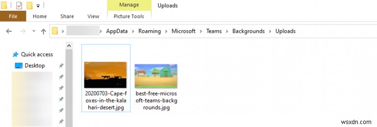Microsoft Teams में Bing दैनिक छवियों को कस्टम पृष्ठभूमि के रूप में कैसे उपयोग करें