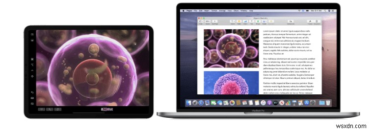 14 सामान्य macOS कैटालिना मुद्दे और उनके त्वरित समाधान