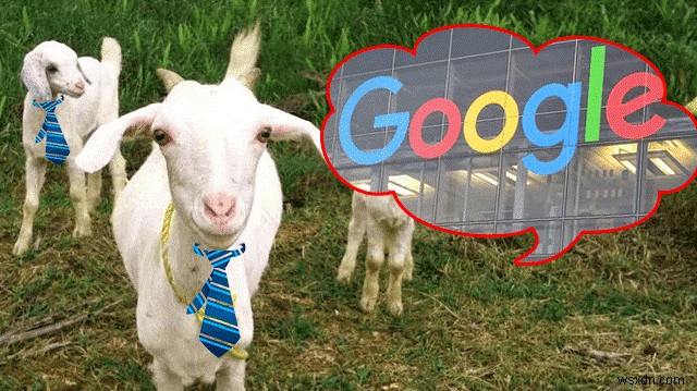 गुगल को 21वां जन्मदिन मुबारक हो! जानिए 21 अजीबोगरीब तथ्य!