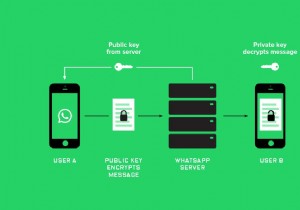 वे तरीके जिनसे Google Allo Whatsapp को मात दे सकता है