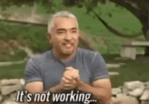 Gboard GIF काम नहीं करने के पांच सुधार