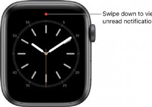 Apple Watch के रेड डॉट नोटिफिकेशन से कैसे छुटकारा पाएं?