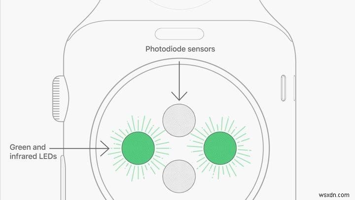 Apple Watch Heart Rate Monitor से क्या अपेक्षा करें