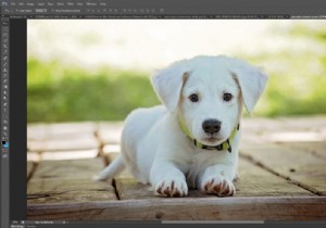 छवि से पृष्ठभूमि कैसे निकालें