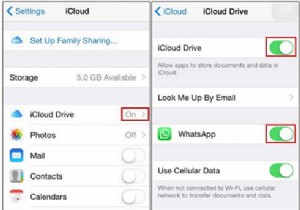 iPhone पर WhatsApp बैकअप कैसे बनाएं:शीर्ष तीन तरीके!