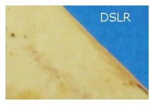 एंड्रॉयड 2022 के लिए टॉप 15 बेस्ट स्लो मोशन वीडियो ऐप्स