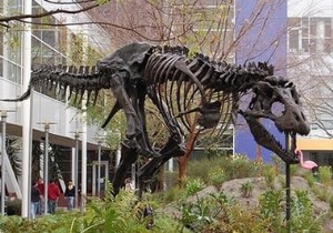 गूगल के बारे में दिमाग उड़ाने वाले तथ्य जो आप नहीं जानते