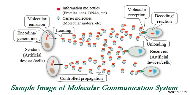 आण्विक संचार - जैविक संचार नेटवर्क से प्रेरित