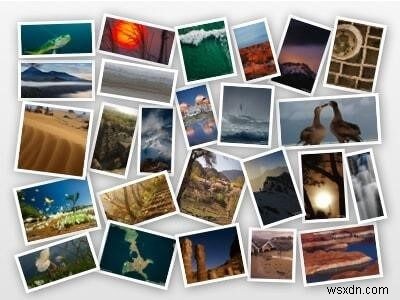 Windows के लिए 12 सर्वश्रेष्ठ फोटो कोलाज मेकर सॉफ्टवेयर