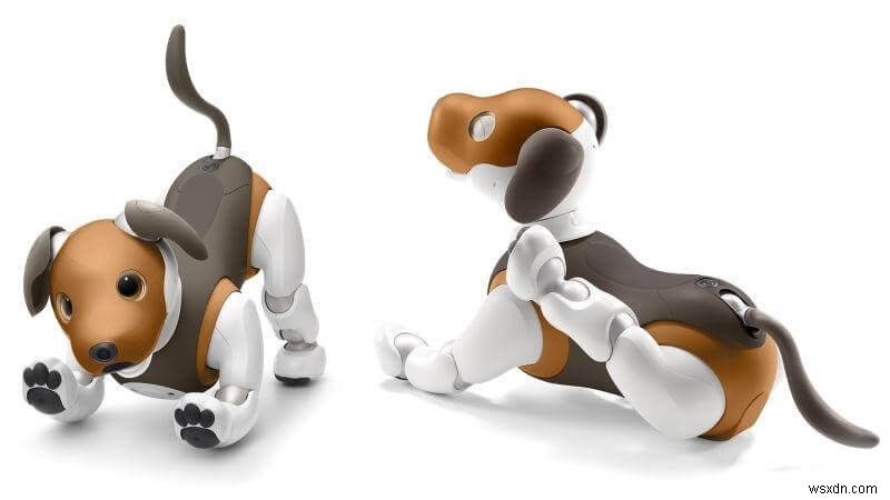 Sony Aibo को नमस्ते कहें—इस मिलेनियल का सबसे कूल रोबोटिक कुत्ता