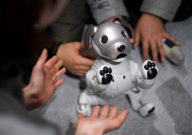 Sony Aibo को नमस्ते कहें—इस मिलेनियल का सबसे कूल रोबोटिक कुत्ता