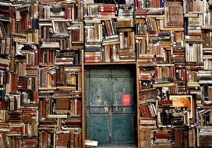 डिकोडिंग लाइब्रेरी, उनका डिजिटाइजेशन, और फ्री रीडिंग प्लेटफॉर्म